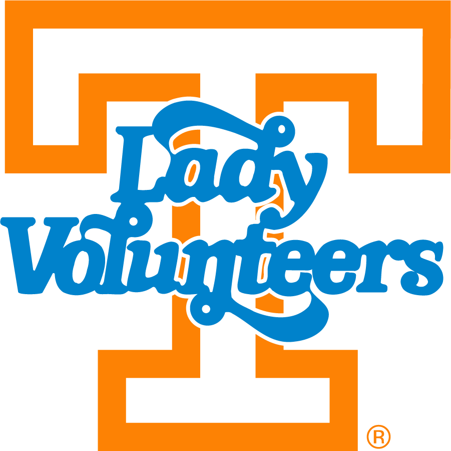 Tennessee Volunteers 1976-2015 Alternate Logo iron on transfers for clothing
